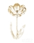 Picture of GILDED BOTANICAL VI