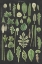Picture of ASSORTMENT OF LEAVES II CHARCOAL CROP