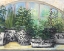 Picture of WINDOWSILL HERBS BW VASES CROP