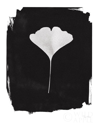 Picture of NATURE BY THE LAKE GINGKO I BLACK