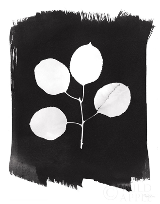 Picture of NATURE BY THE LAKE LEAVES II BLACK
