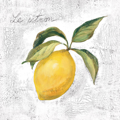 Picture of LE CITRON ON WHITE