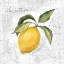 Picture of LE CITRON ON WHITE