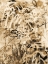 Picture of GRAFFITI LOVE SEPIA