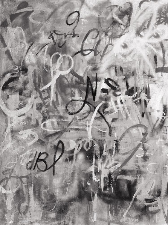 Picture of GRAFFITI FREEDOM MONOCHROMATIC