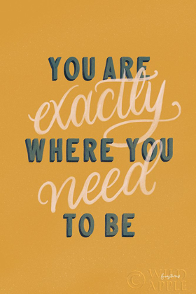 Picture of YOU ARE EXACTLY WHERE YOU NEED TO BE