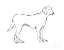 Picture of INK DOG I