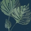 Picture of MONSTERA III