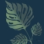 Picture of MONSTERA IV