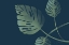 Picture of MONSTERA V