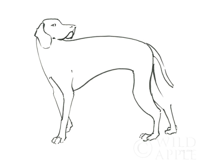 Picture of INK DOG V