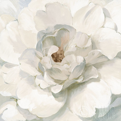Picture of NEUTRAL PEONY