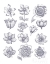 Picture of ANEMONE PLATE I BLUE