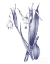 Picture of DARK BLUE BOTANICAL II