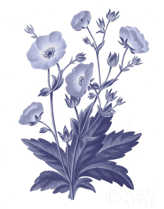 Picture of DARK BLUE BOTANICAL VI