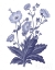 Picture of DARK BLUE BOTANICAL VI