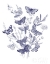 Picture of BUTTERFLY BOUQUET I BLUE