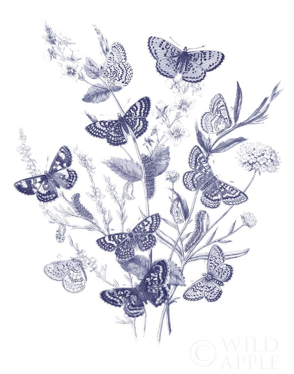 Picture of BUTTERFLY BOUQUET I BLUE