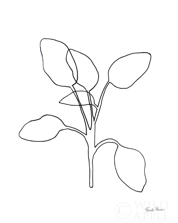 Picture of DOODLE LEAVES III