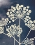 Picture of DARK BLUE SKY GARDEN I