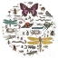 Picture of INSECT CIRCLE II BRIGHT V2