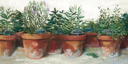 Picture of POTS OF HERBS I WHITE