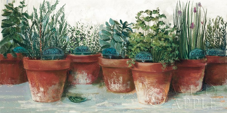 Picture of POTS OF HERBS II WHITE