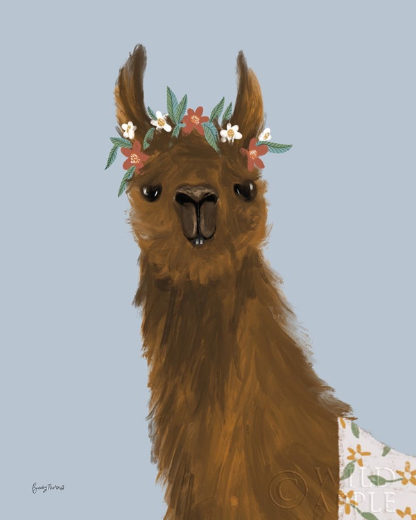 Picture of DELIGHTFUL ALPACAS II