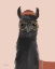 Picture of DELIGHTFUL ALPACAS IV