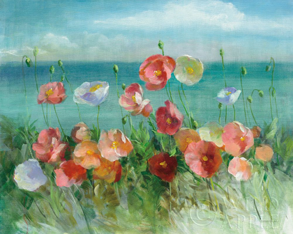 Picture of COASTAL POPPIES