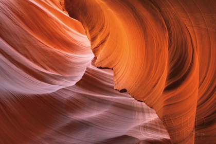 Picture of LOWER ANTELOPE CANYON I