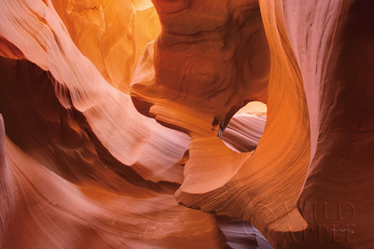 Picture of LOWER ANTELOPE CANYON II