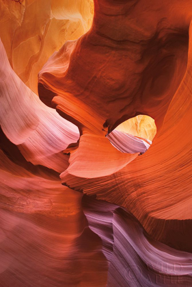 Picture of LOWER ANTELOPE CANYON IV
