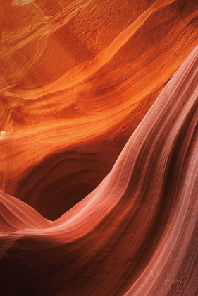 Picture of LOWER ANTELOPE CANYON V
