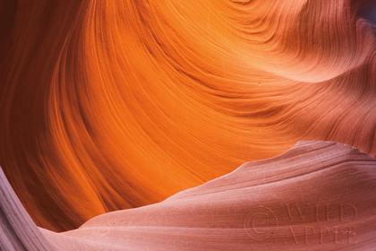 Picture of LOWER ANTELOPE CANYON VI