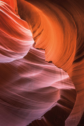 Picture of LOWER ANTELOPE CANYON VIII