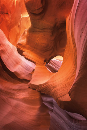 Picture of LOWER ANTELOPE CANYON IX
