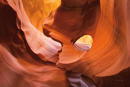 Picture of LOWER ANTELOPE CANYON X