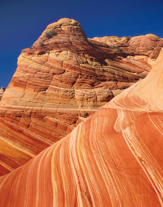 Picture of COYOTE BUTTES I