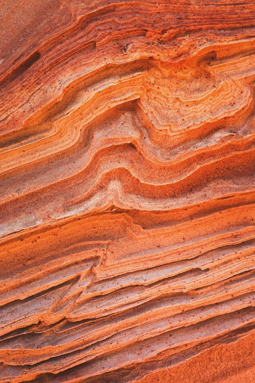 Picture of COYOTE BUTTES IV