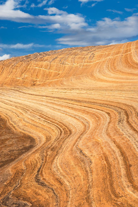 Picture of COYOTE BUTTES V