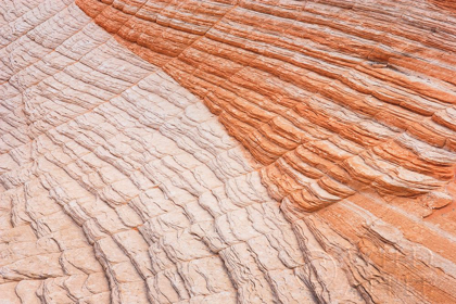 Picture of COYOTE BUTTES VI