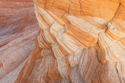 Picture of COYOTE BUTTES VII