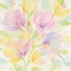 Picture of ITS SPRING