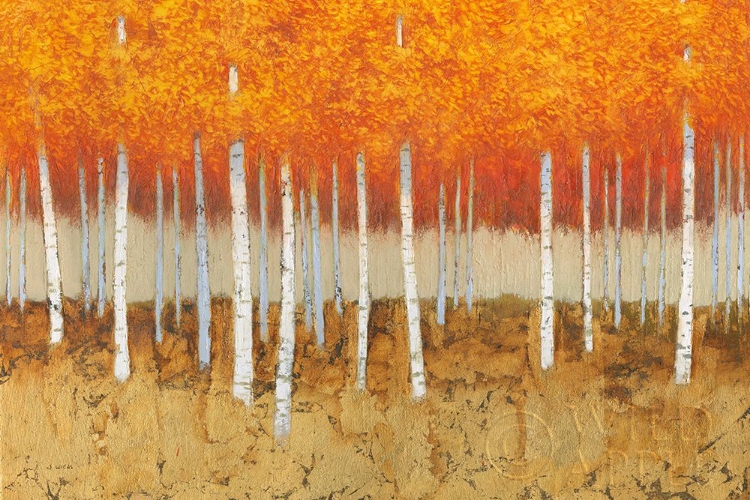 Picture of AUTUMN BIRCHES