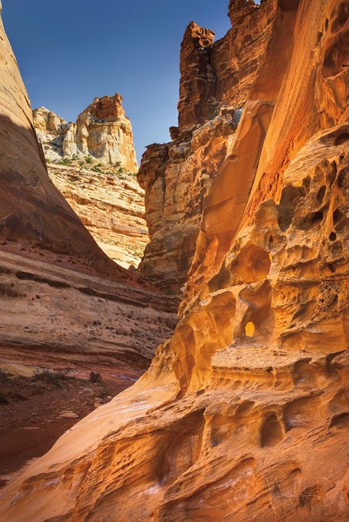 Picture of CRACK CANYON II