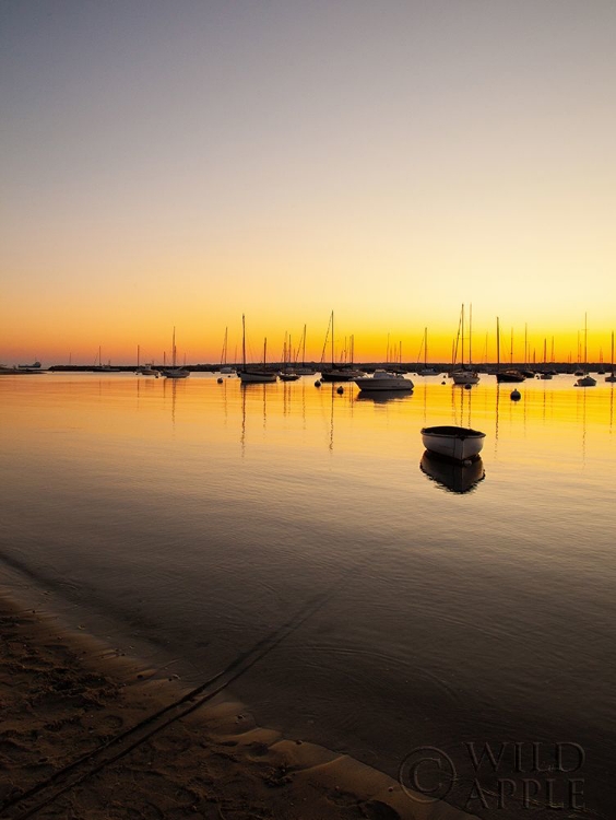 Picture of MARTHAS VINEYARD SUNSET I