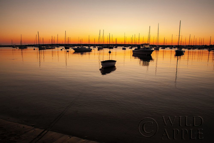 Picture of MARTHAS VINEYARD SUNSET II