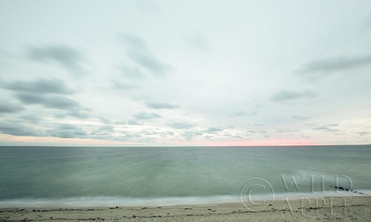 Picture of MARTHAS VINEYARD BEACH I