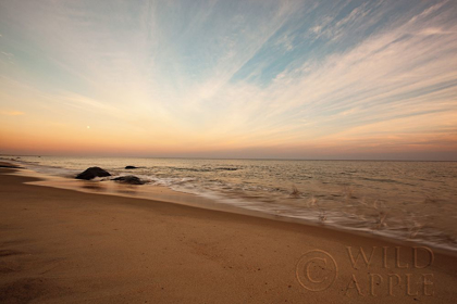 Picture of MARTHAS VINEYARD BEACH II